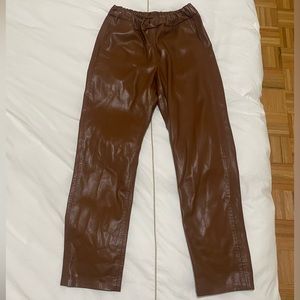 Anine Bing vegan leather pants